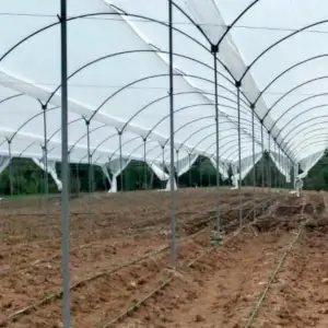 Tela Prosolar